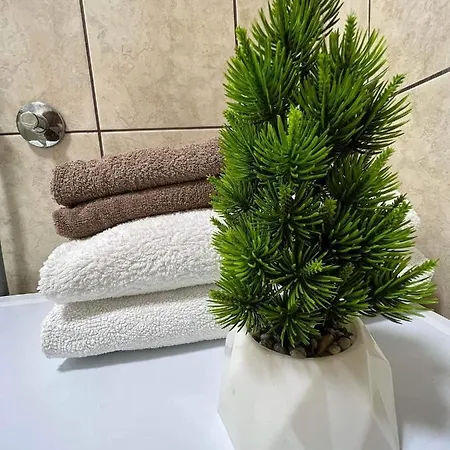 Apartman Bulevar * 투즐라