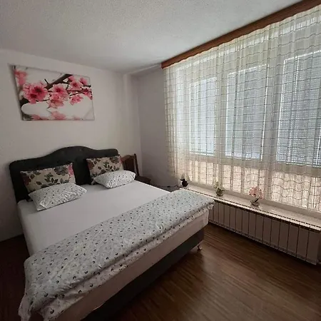 Apartman Bulevar 아파트 투즐라